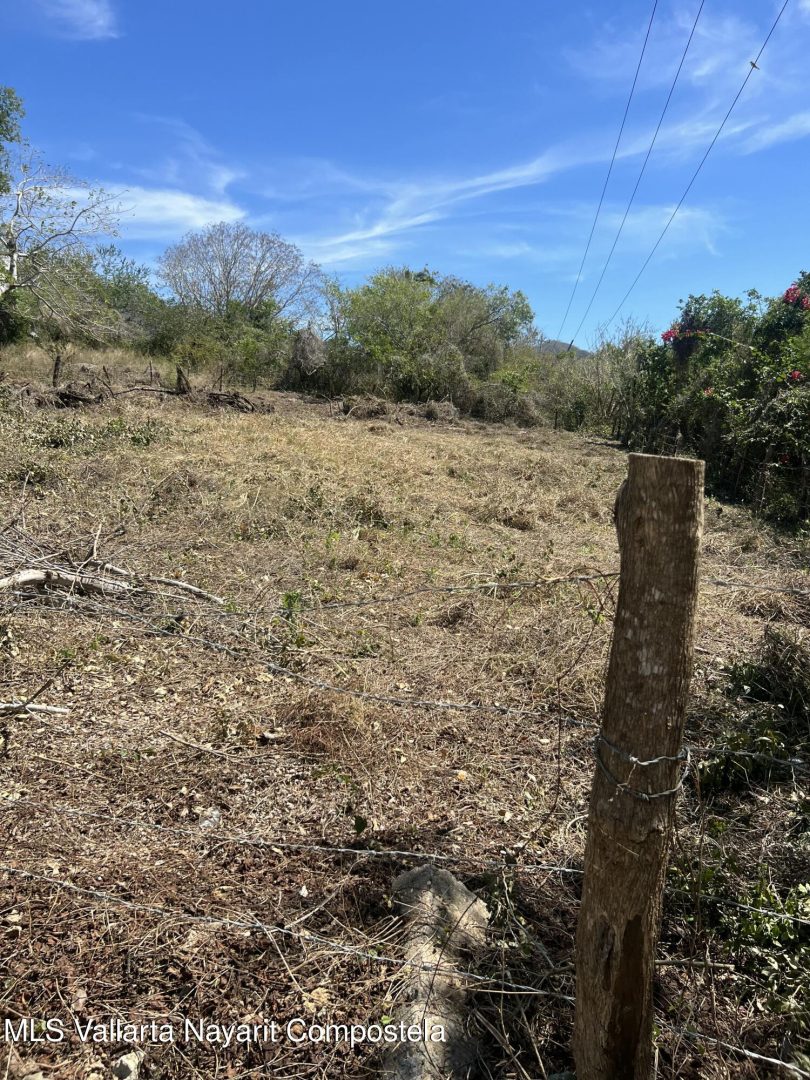 20250207131417965345000000-o