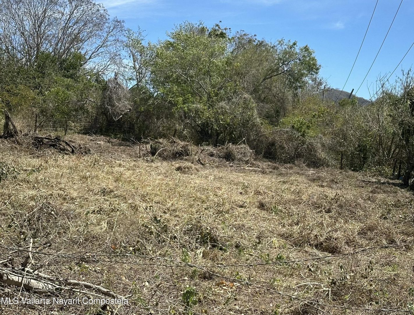 20250207131429586086000000-o