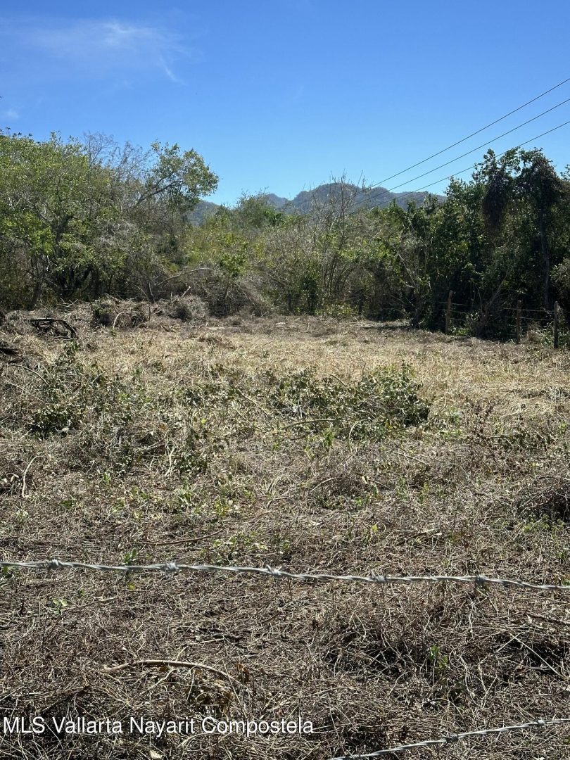 20250207131436883536000000-o