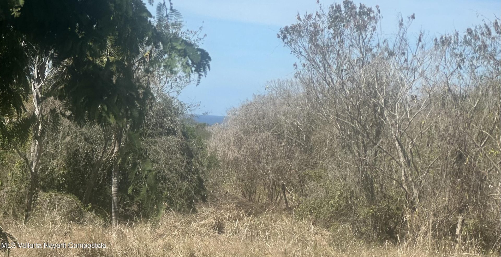 20250207131443116883000000-o