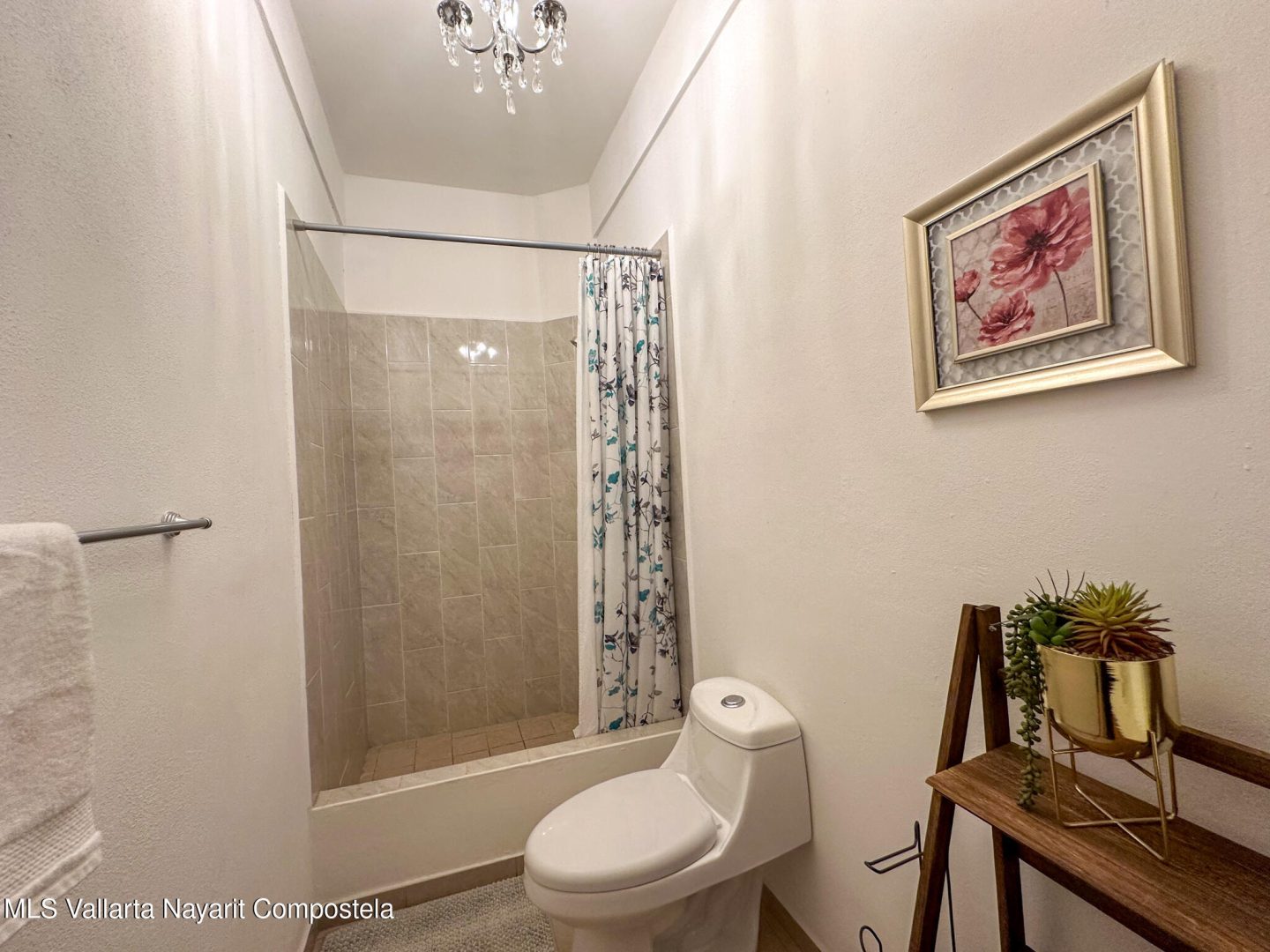 20250214162404165106000000-o