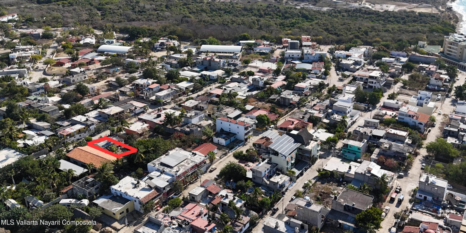 20250218210216555821000000-o