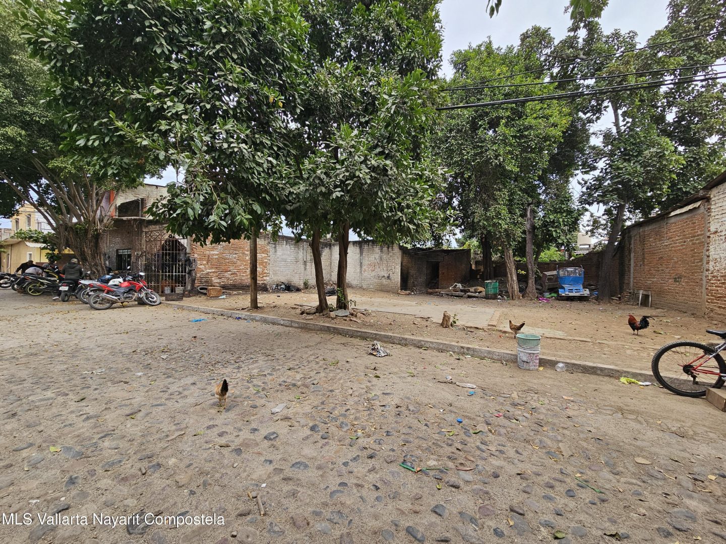 20250218233256658583000000-o