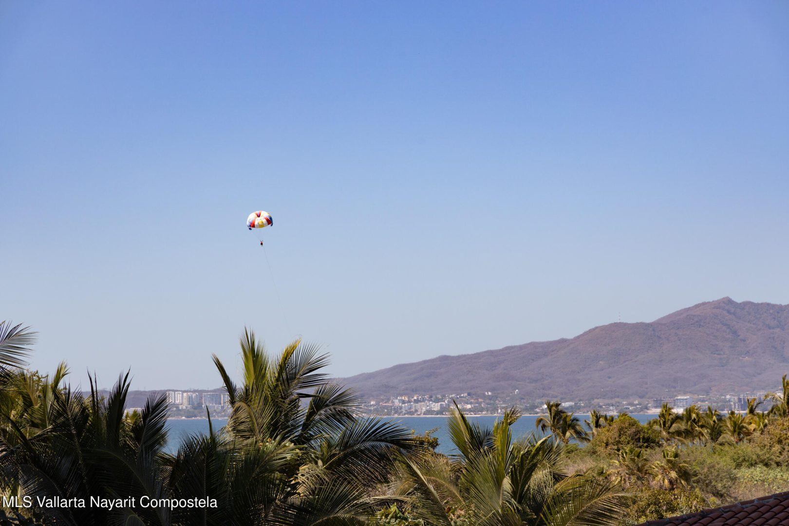 20250219192038577162000000-o