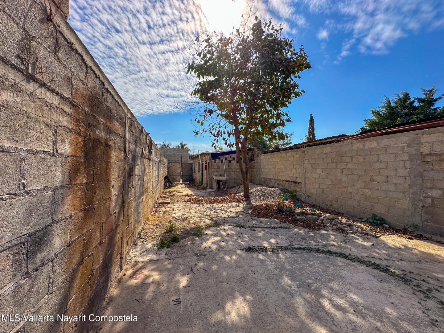 20250224183838909157000000-o