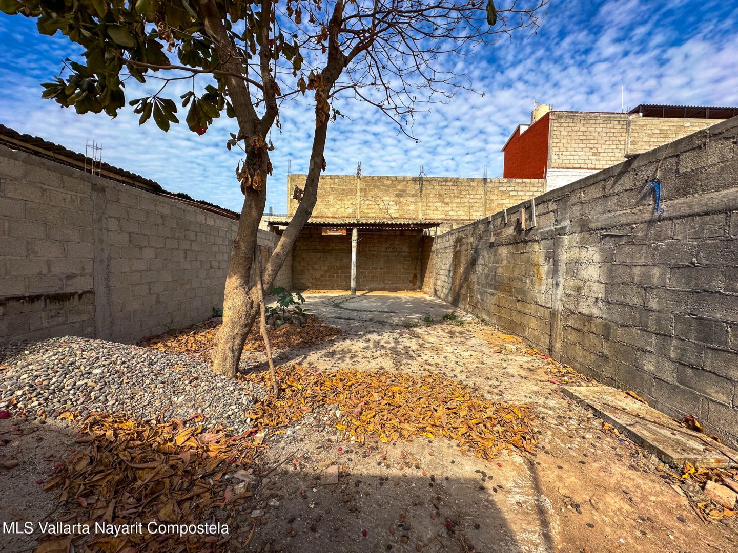 20250224183845196650000000-o