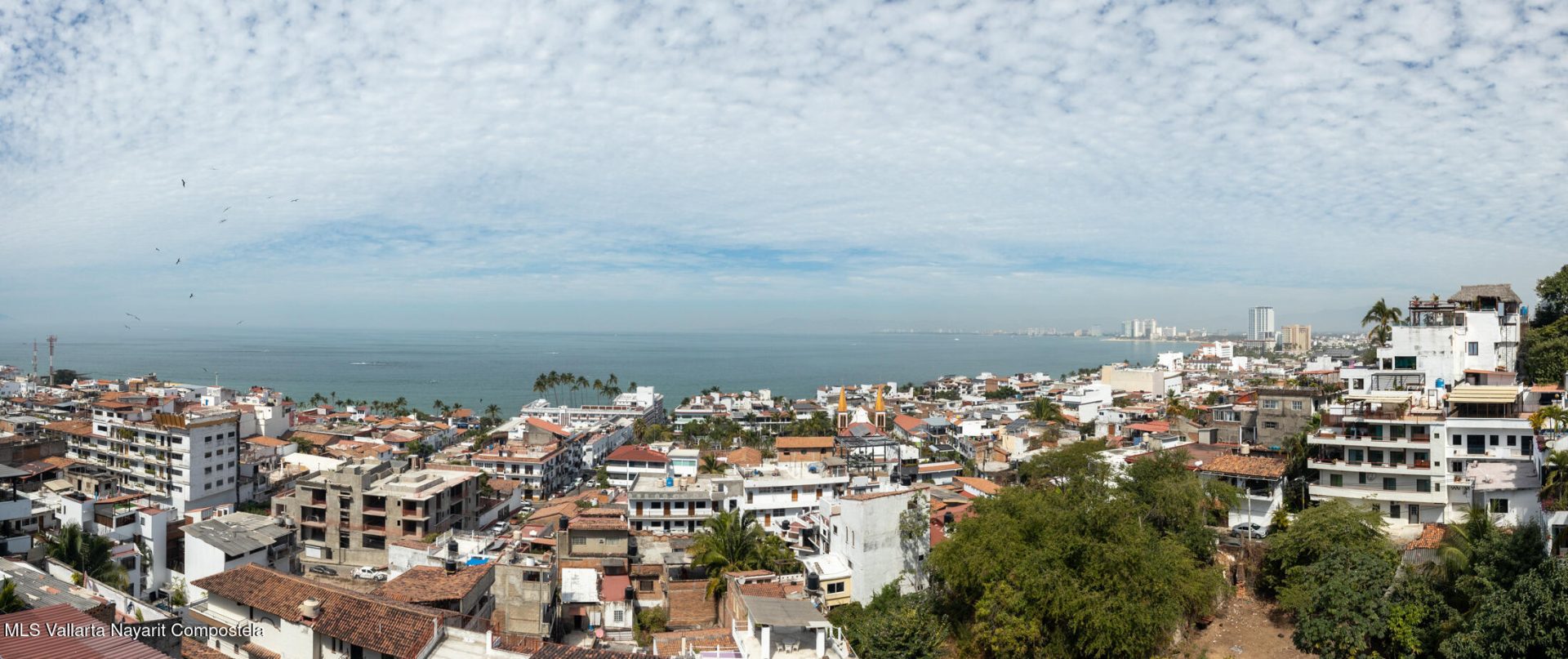 20250226183632906073000000-o