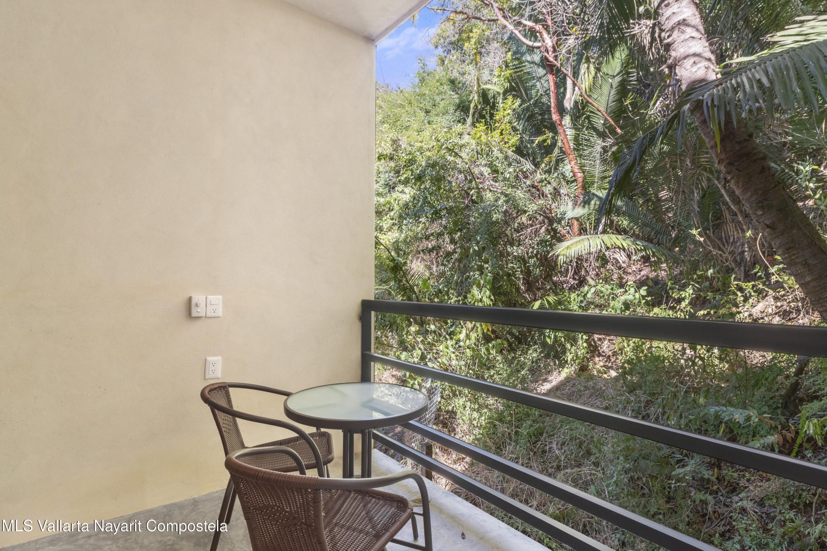 20250305004241984310000000-o