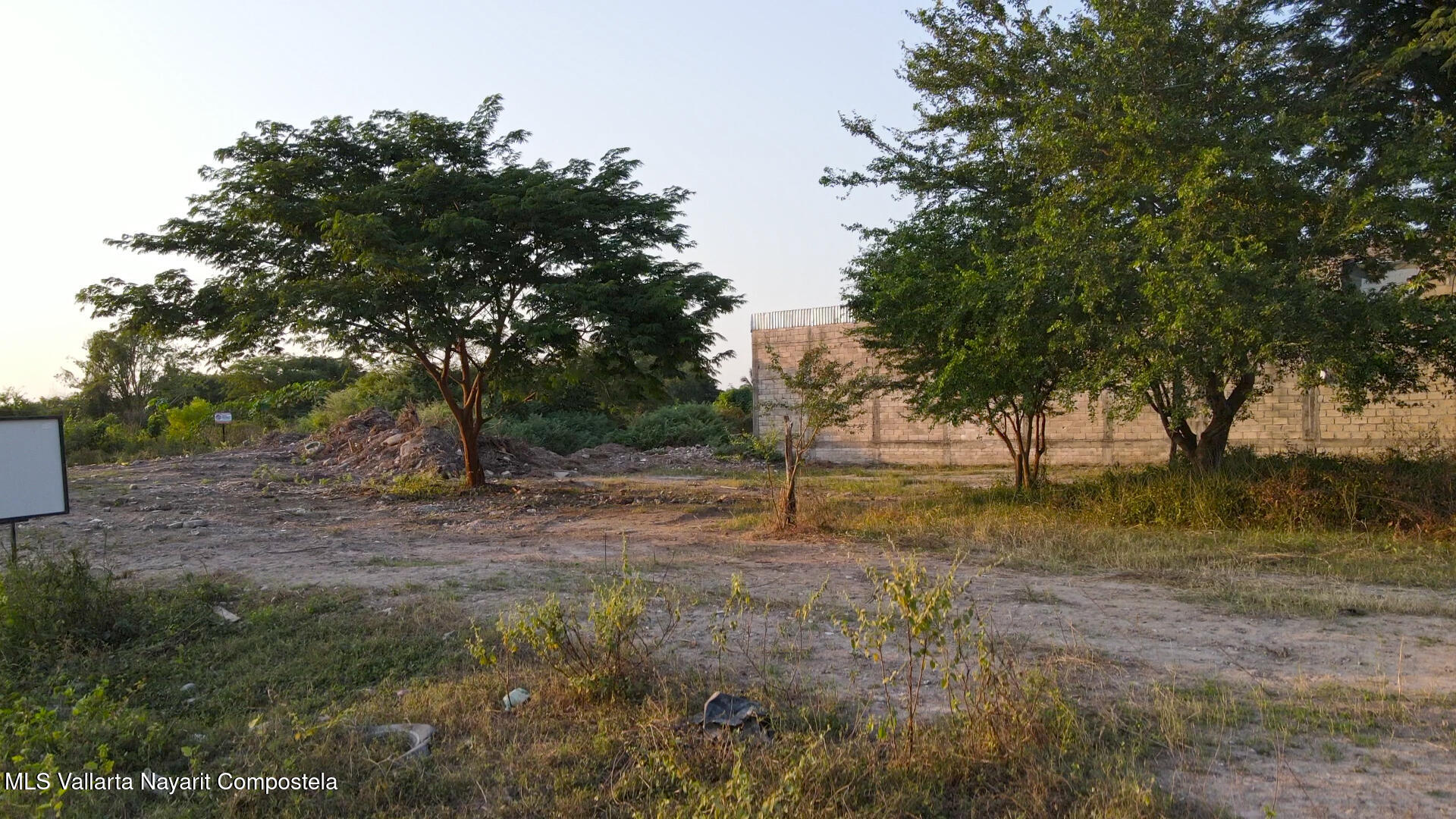 20250305195838337124000000-o