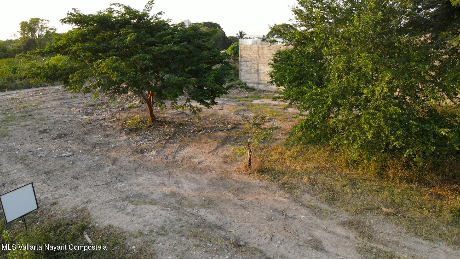 20250305195839668795000000-o