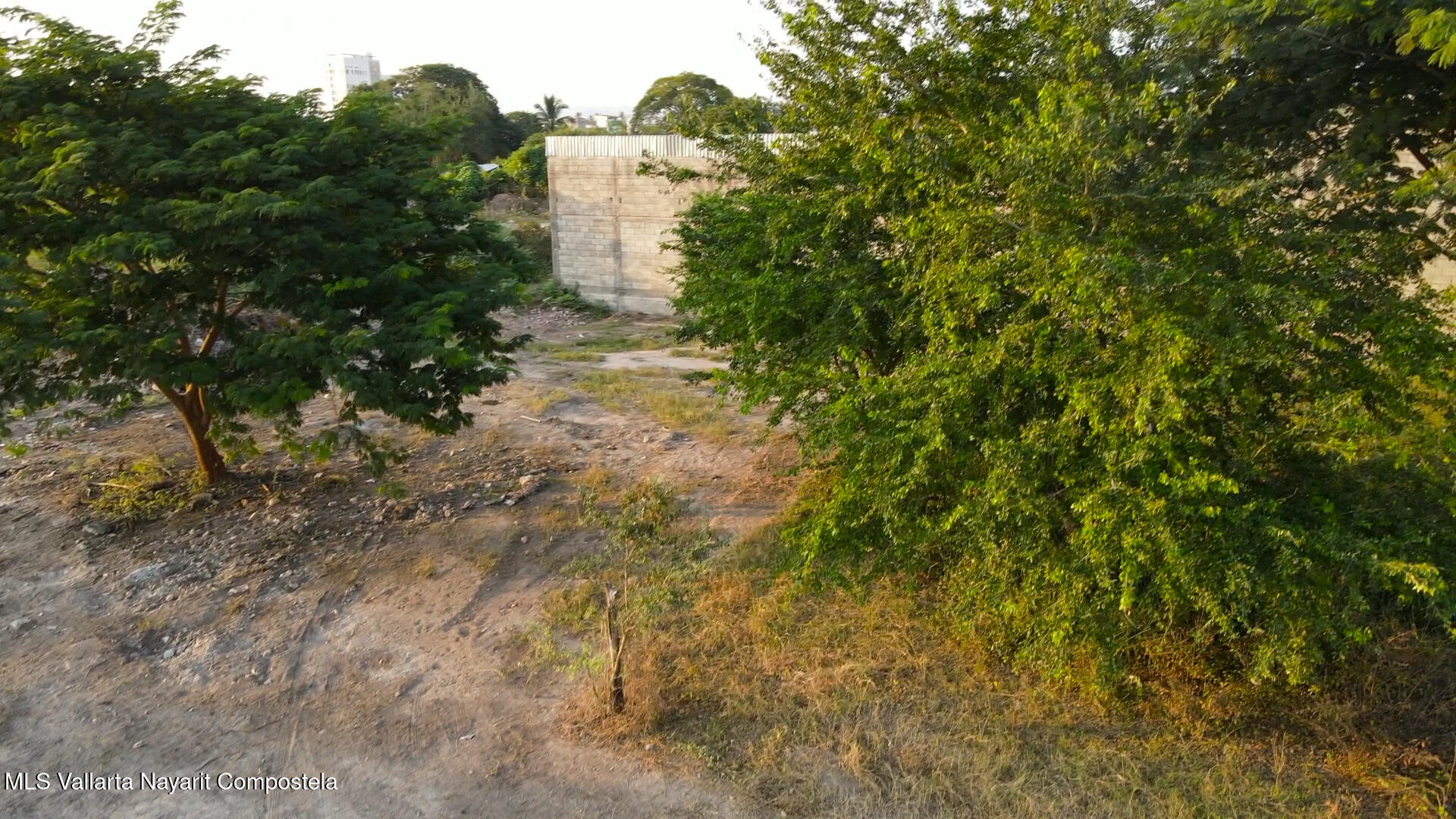 20250305195841048970000000-o