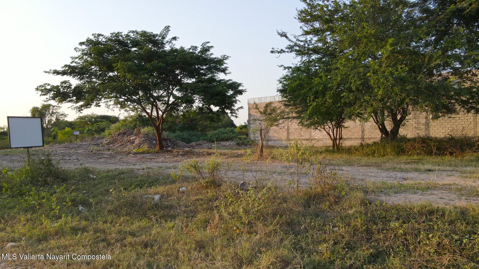 20250305195843983459000000-o