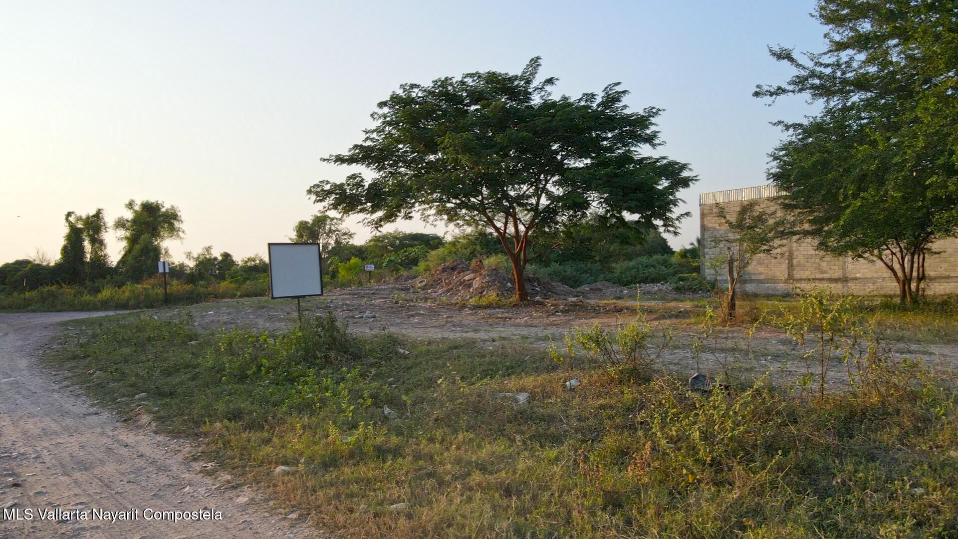 20250305195845584019000000-o