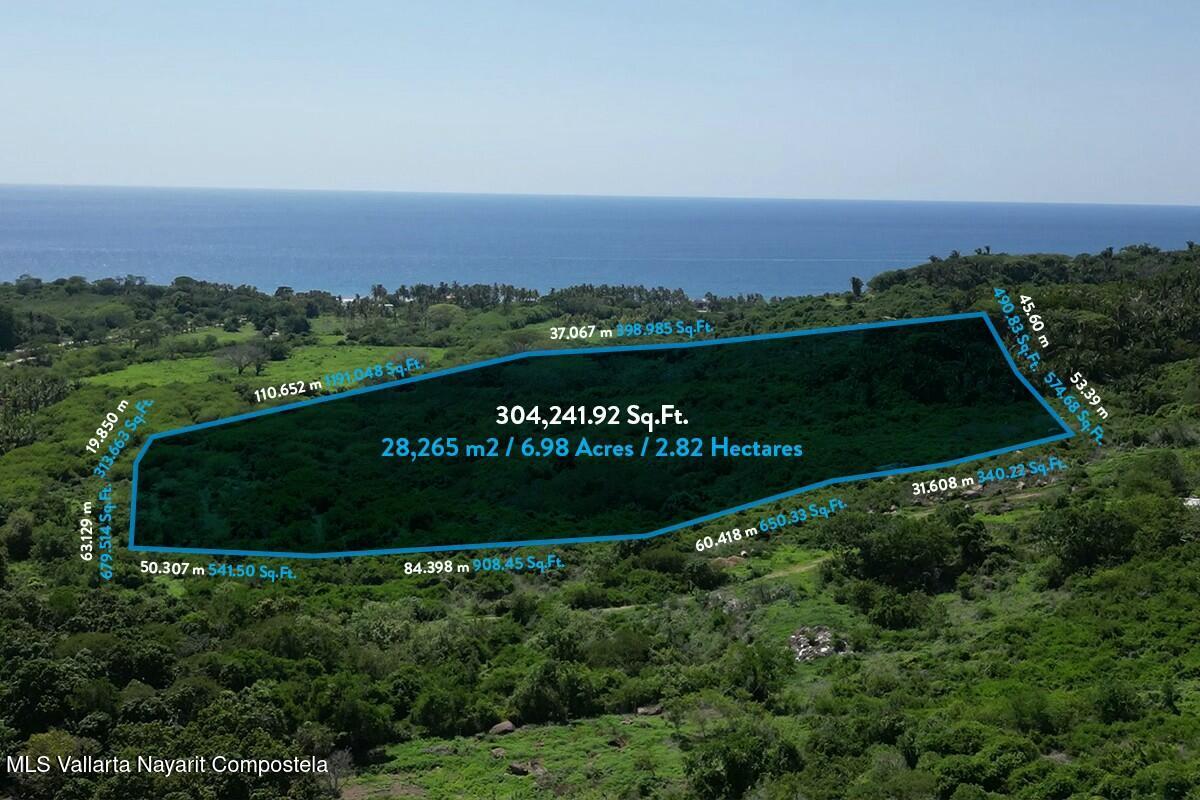 20250310191348927446000000-o