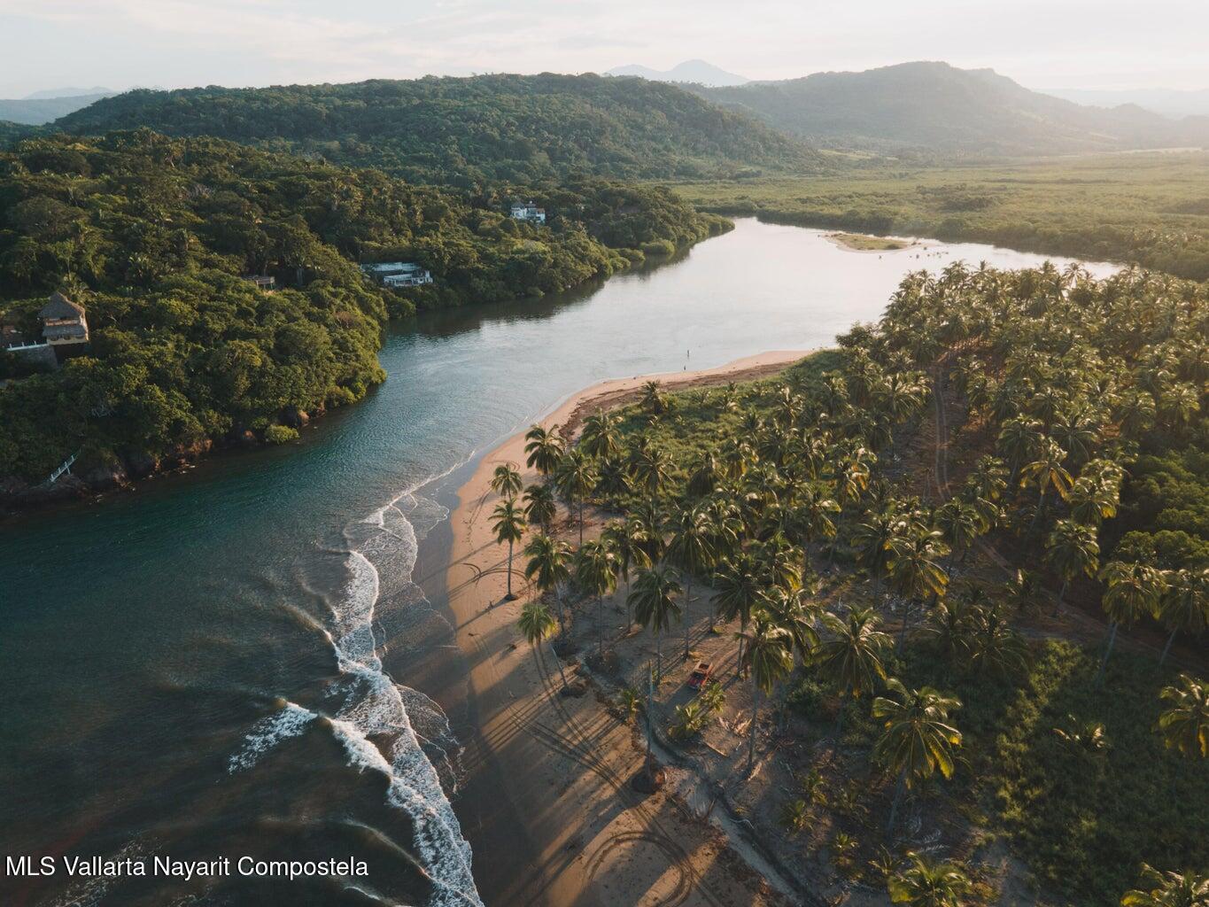 20250312202000461628000000-o