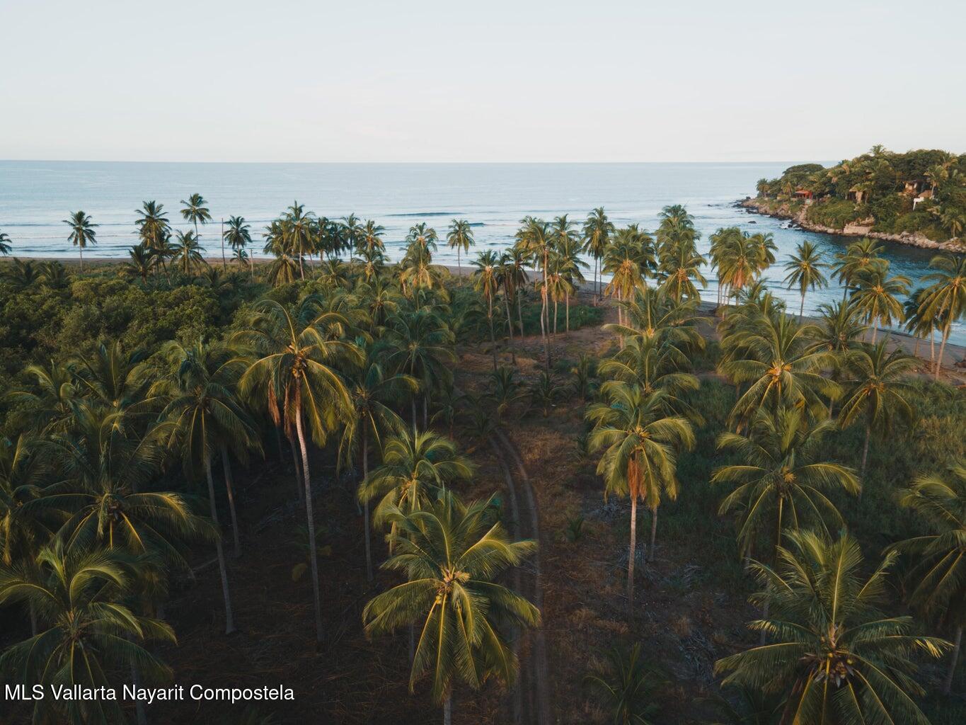 20250312202052192545000000-o