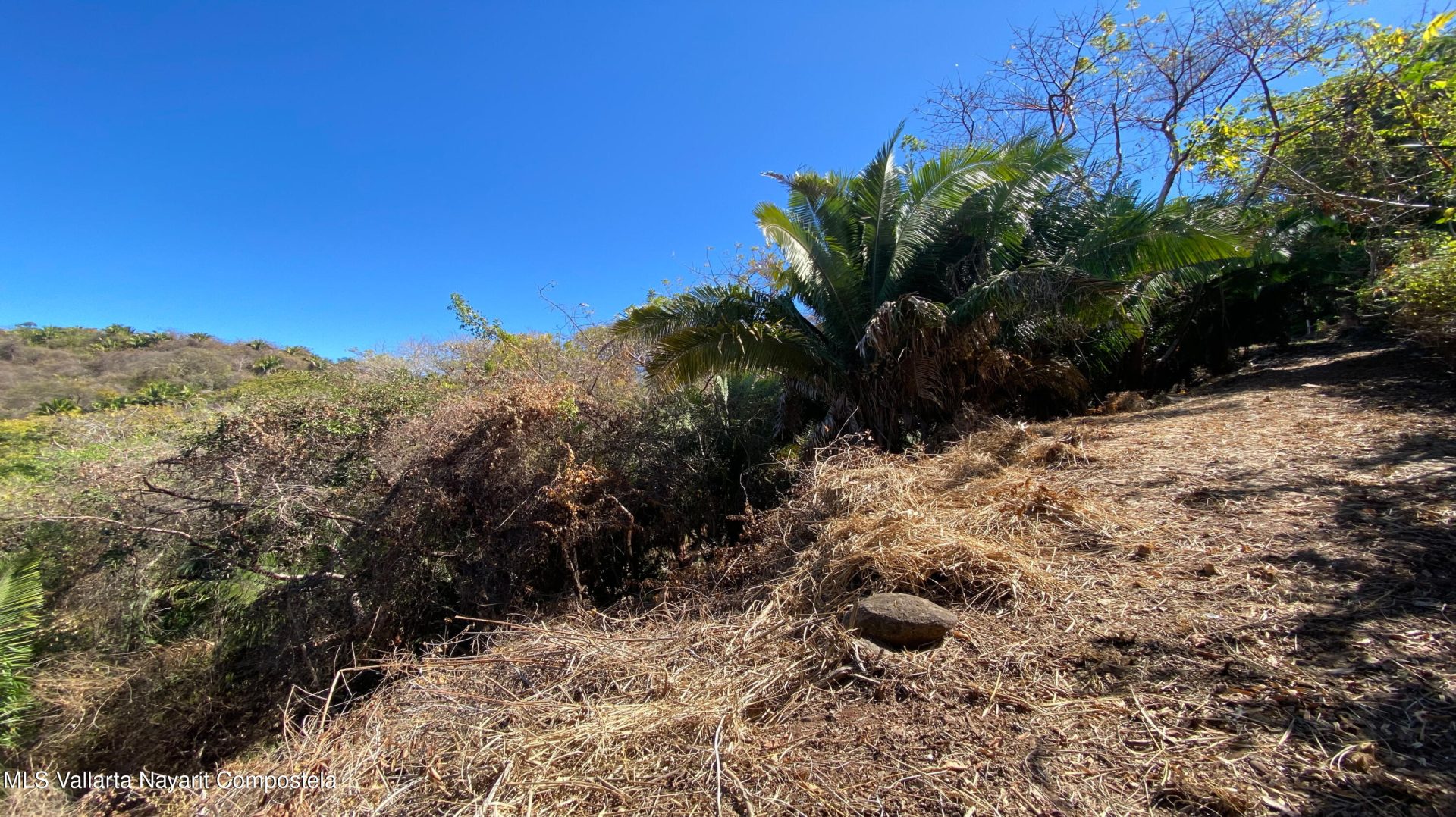 20250321231308057841000000-o