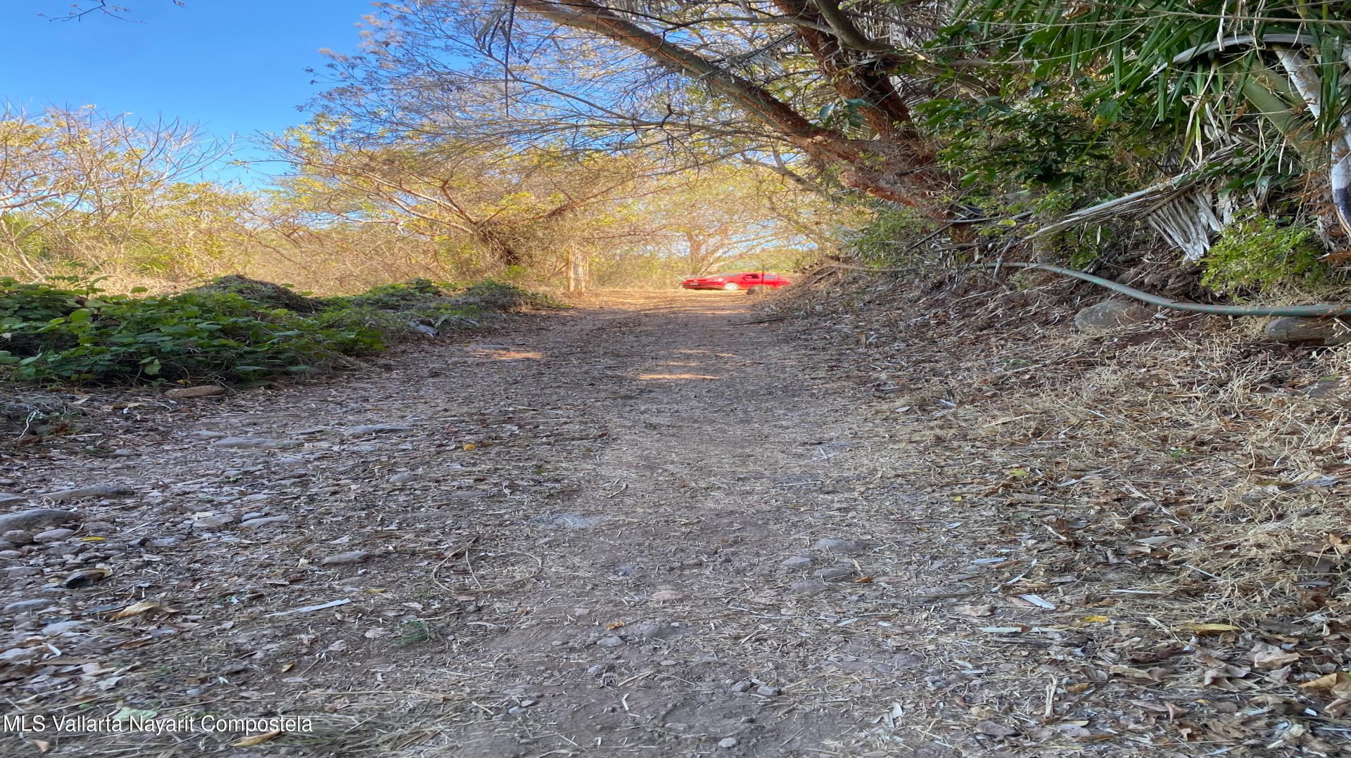 20250321231316018249000000-o