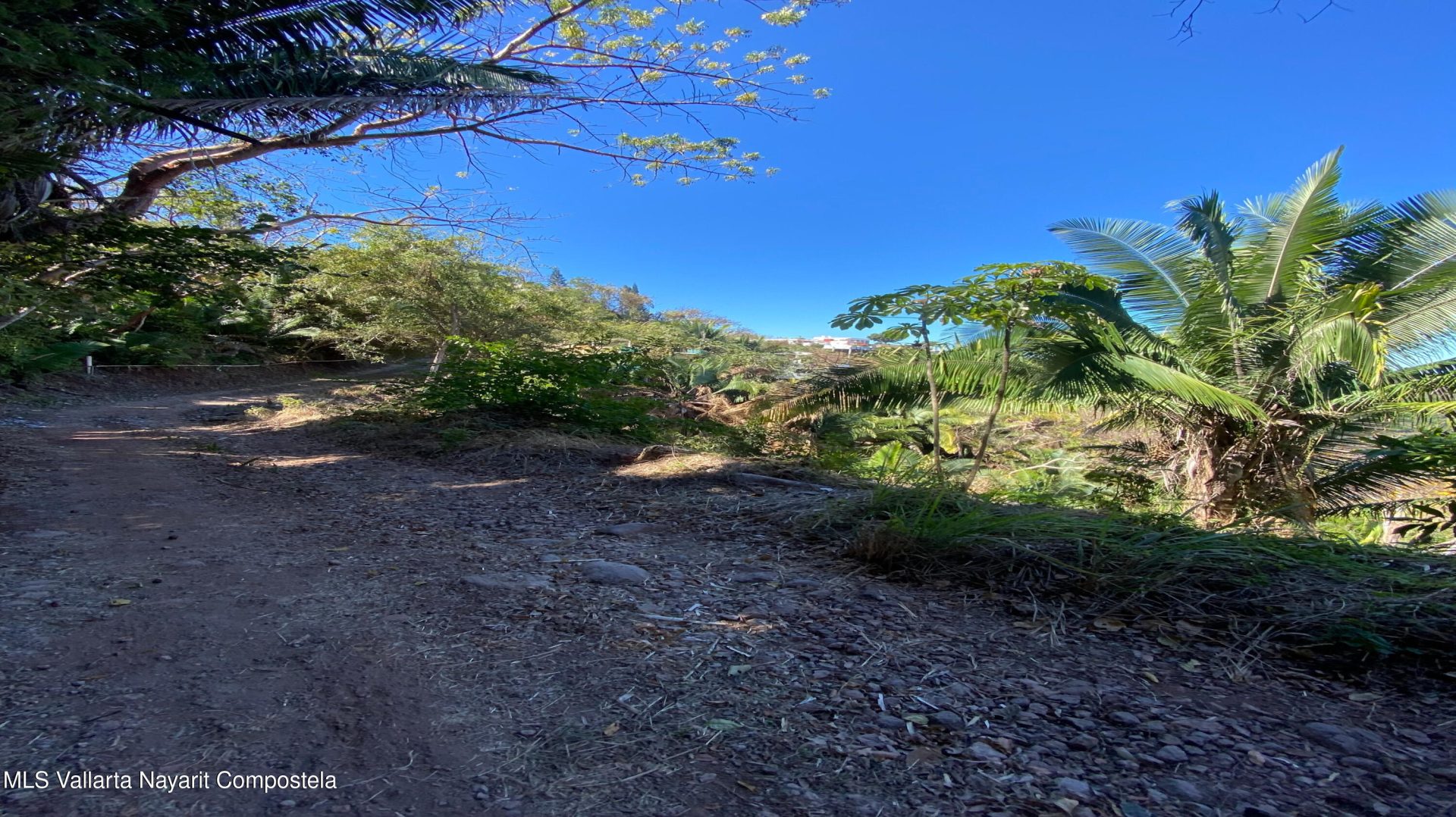 20250321231332446569000000-o