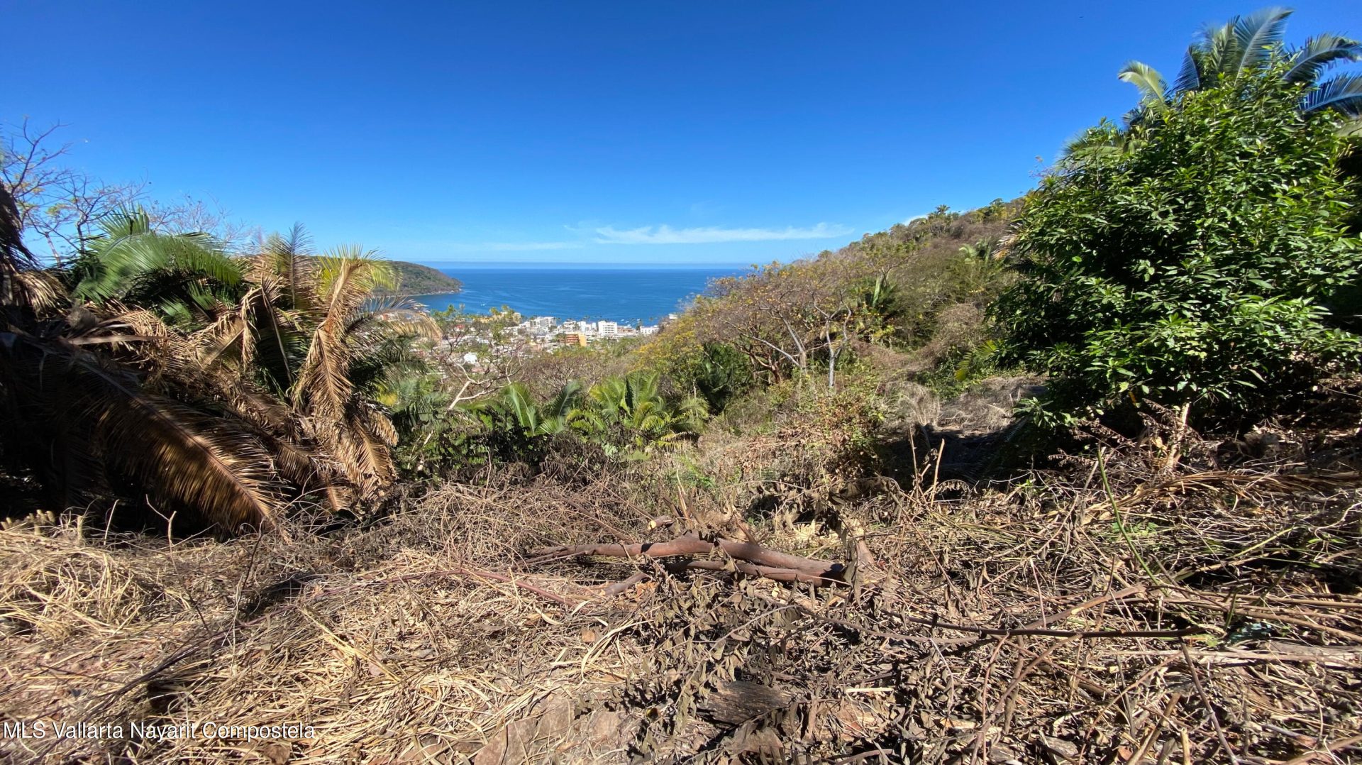 20250321231338203240000000-o