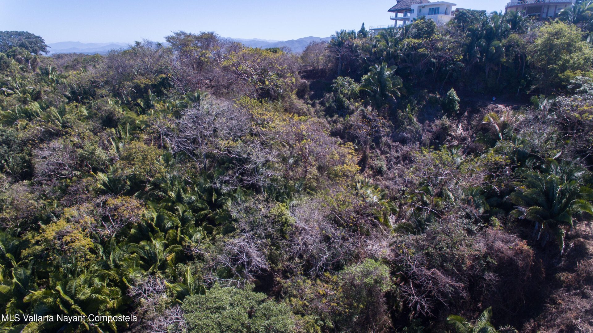 20250321231342864650000000-o