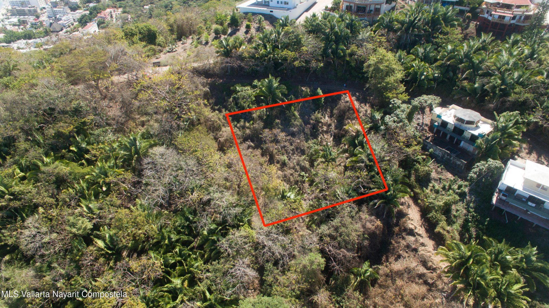 20250321231348329675000000-o