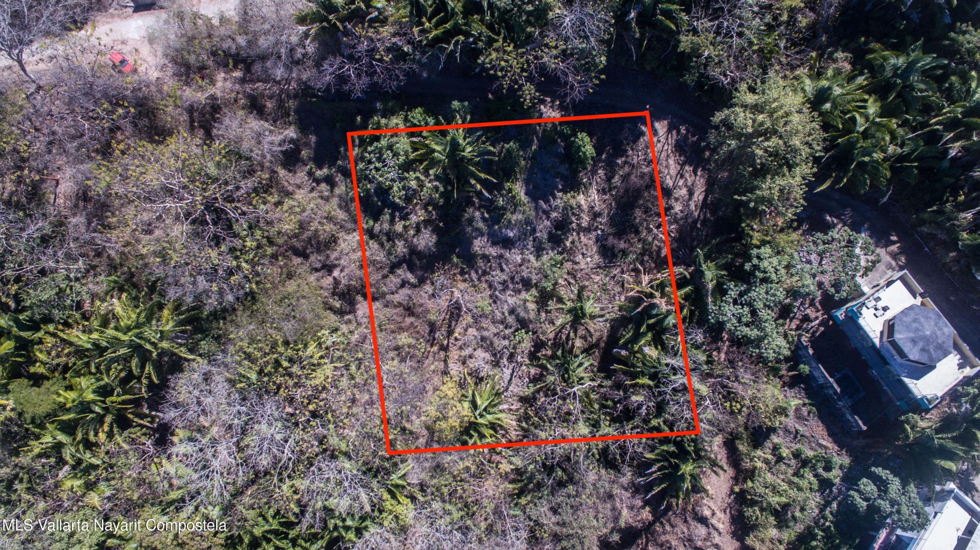 20250321231354031497000000-o