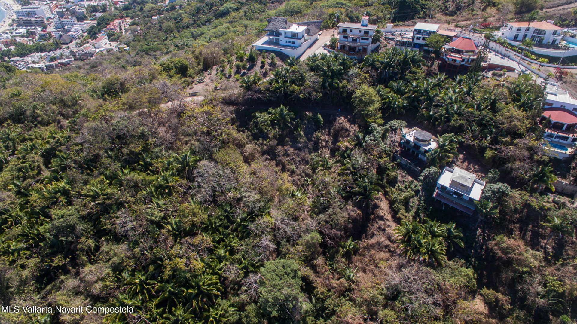 20250321231358963573000000-o