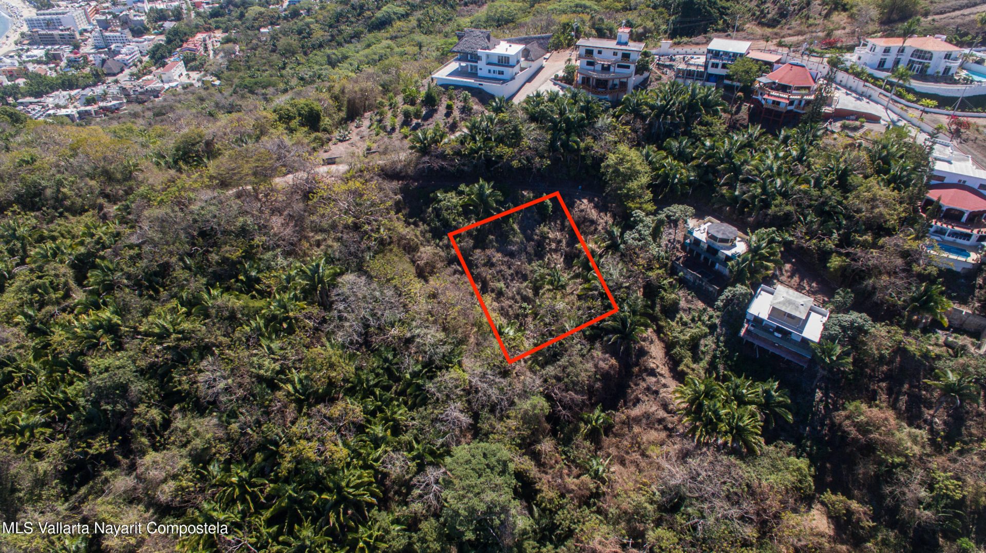 20250321231402695141000000-o