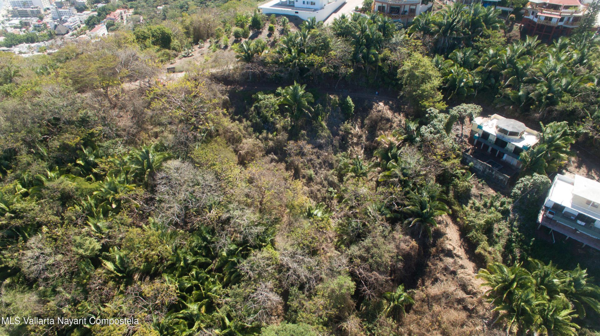 20250321231406704225000000-o