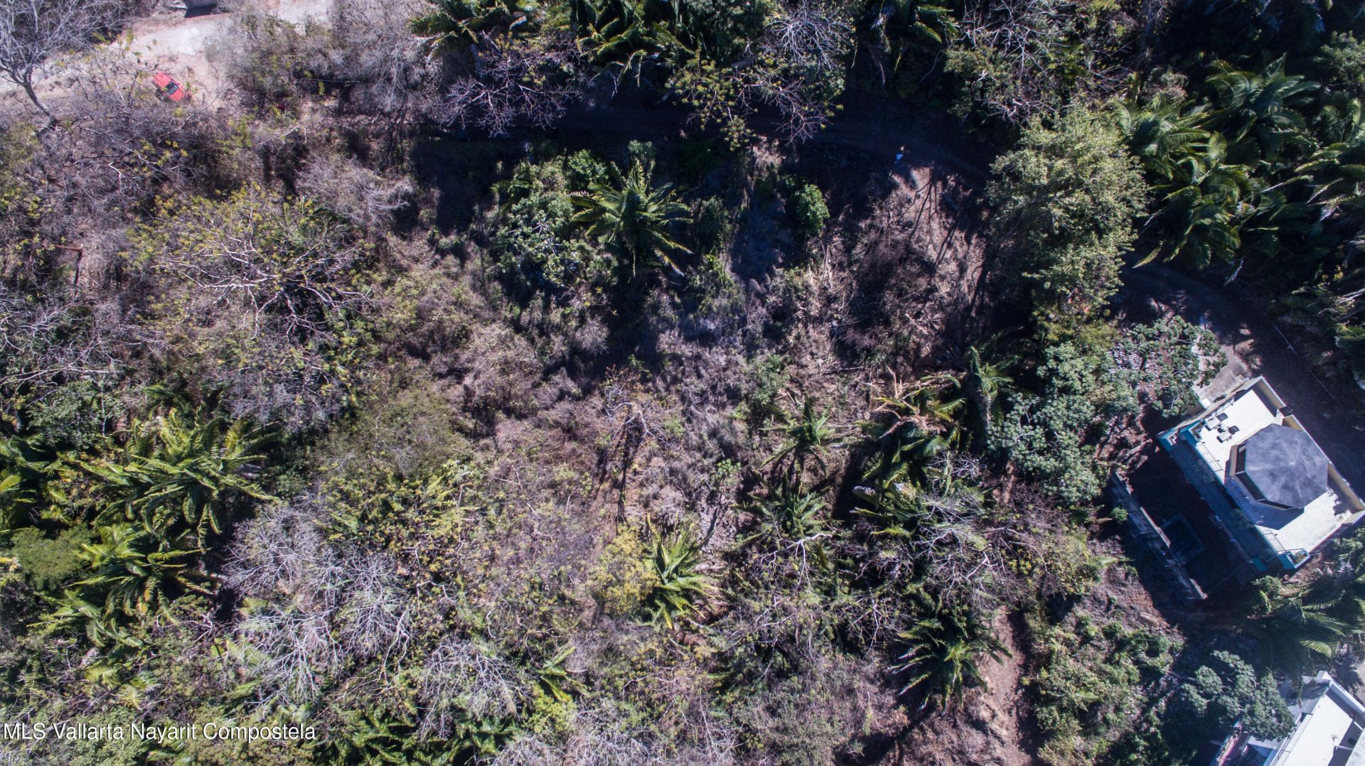 20250321231410826387000000-o