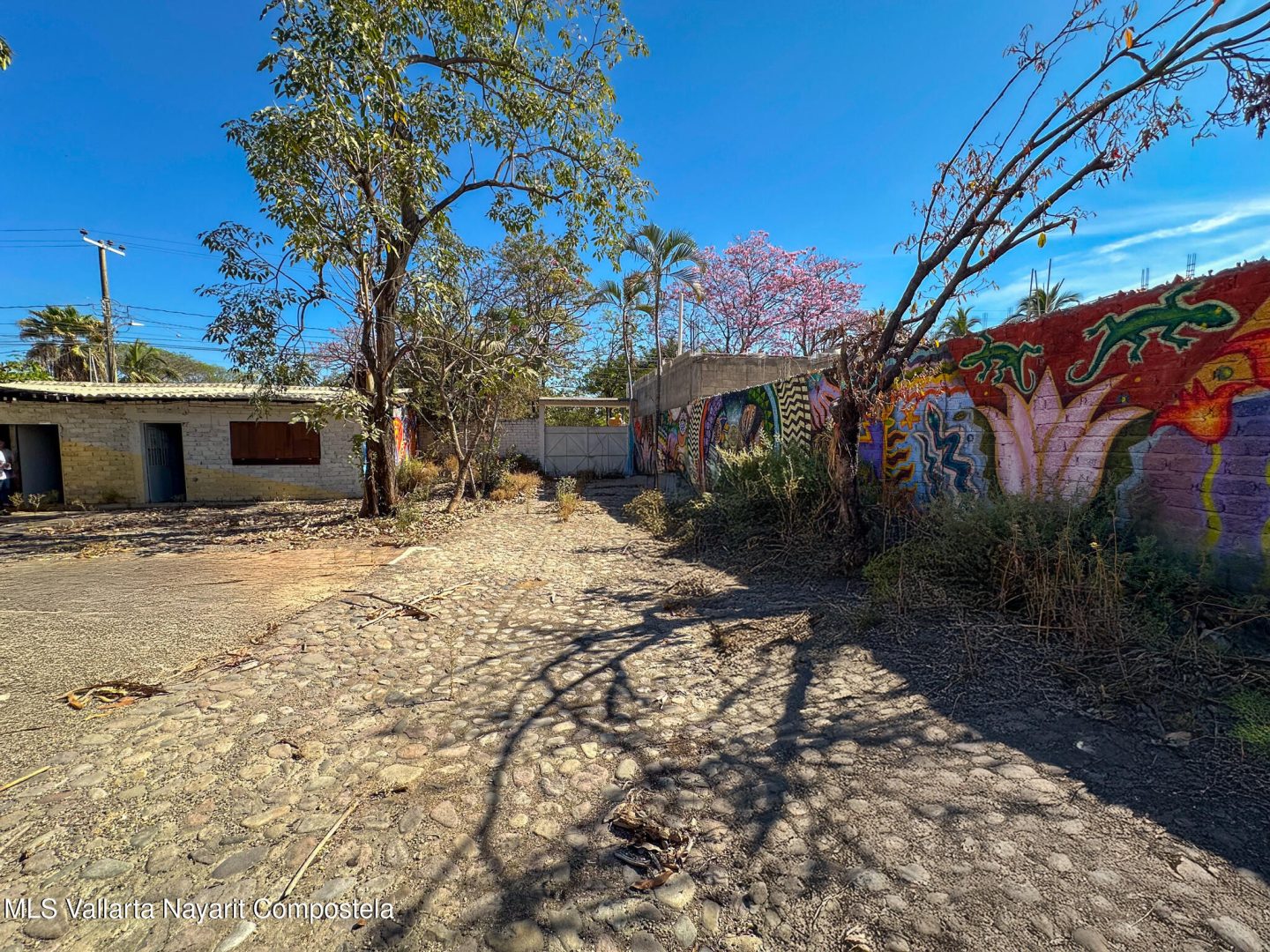 20250402221948897407000000-o