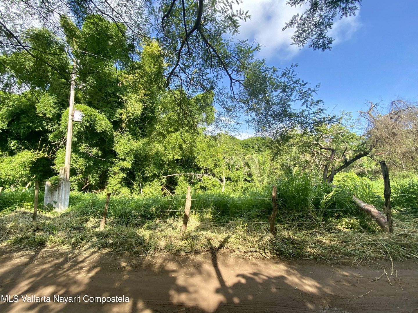 20250410161158000164000000-o