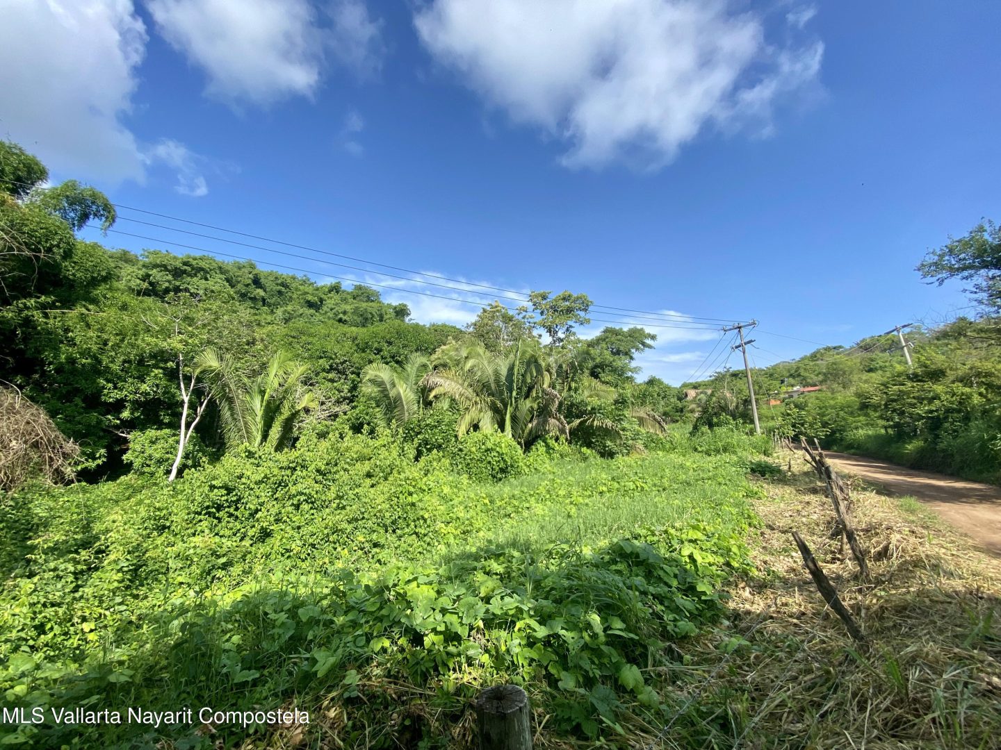 20250410161208103451000000-o