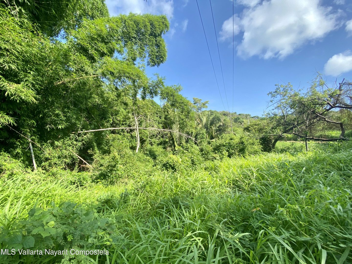 20250410161217586155000000-o