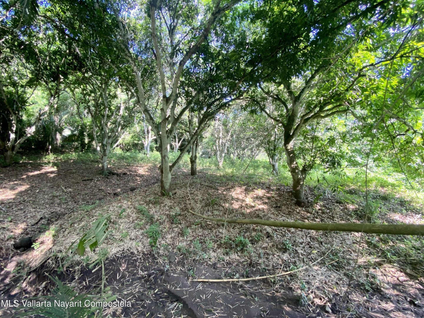 20250410161223258770000000-o