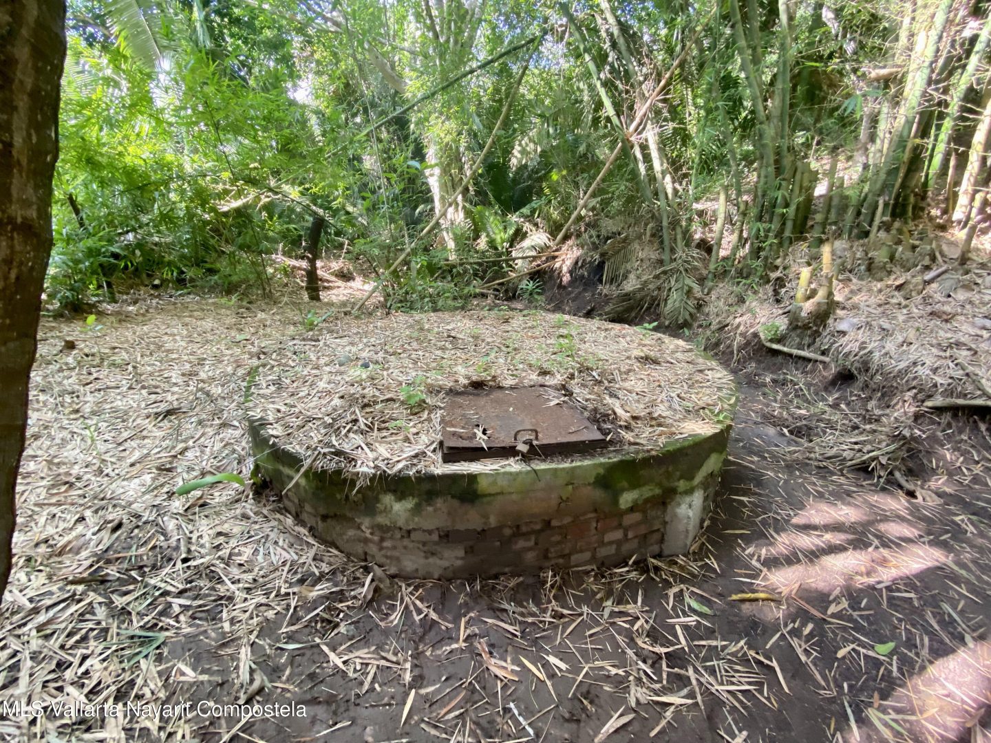 20250410161227647464000000-o