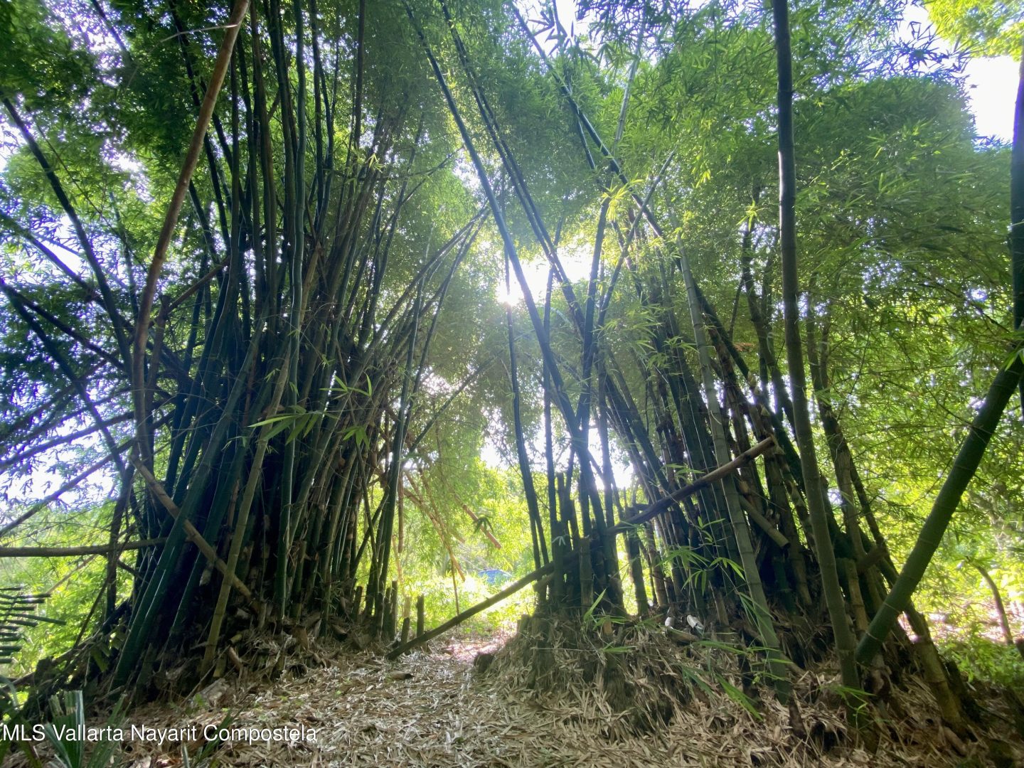 20250410161235741467000000-o