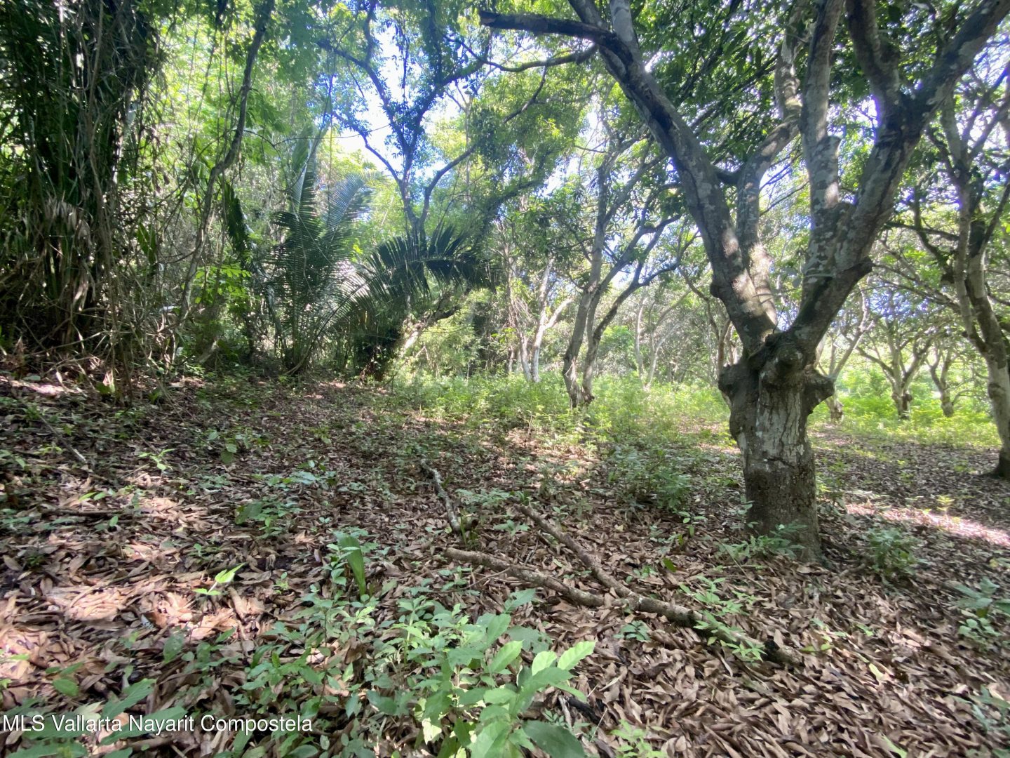 20250410161242457594000000-o