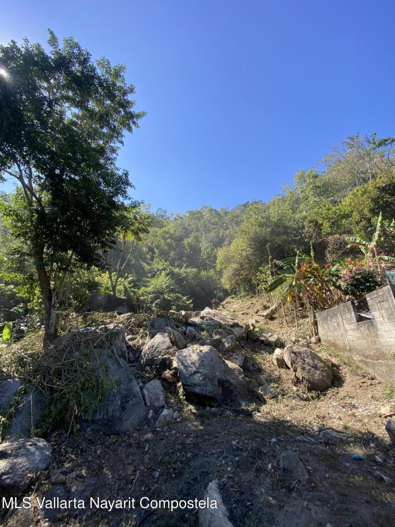 20250410233747096553000000-o