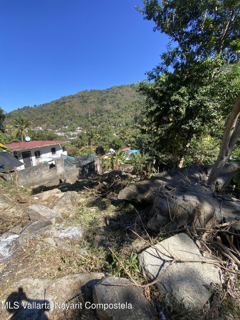 20250410233754013349000000-o