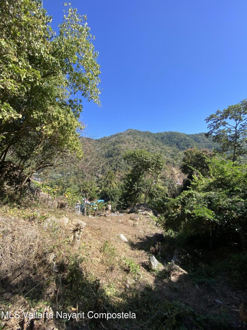 20250410233756078541000000-o