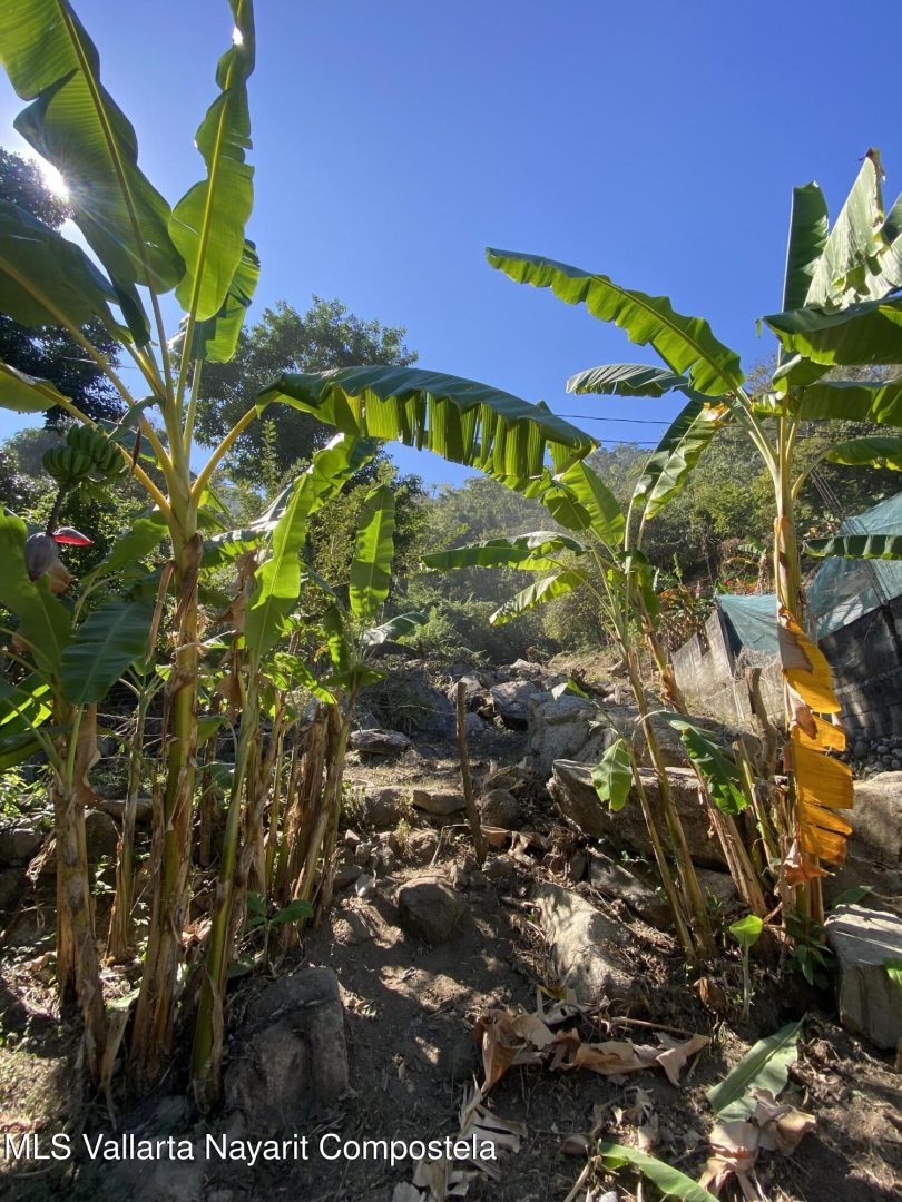 20250410233758826415000000-o