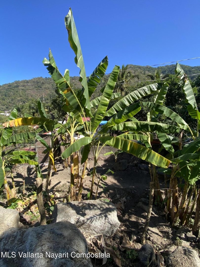 20250410233759757072000000-o