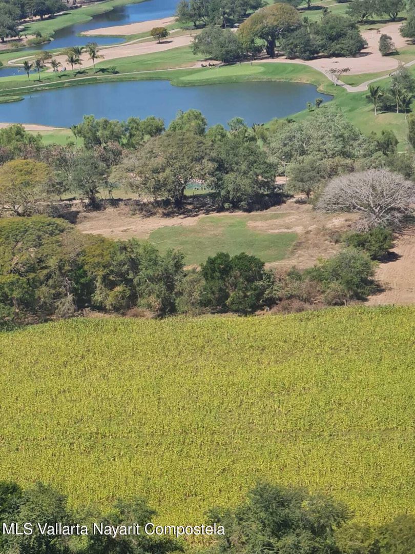 20250411225845847470000000-o