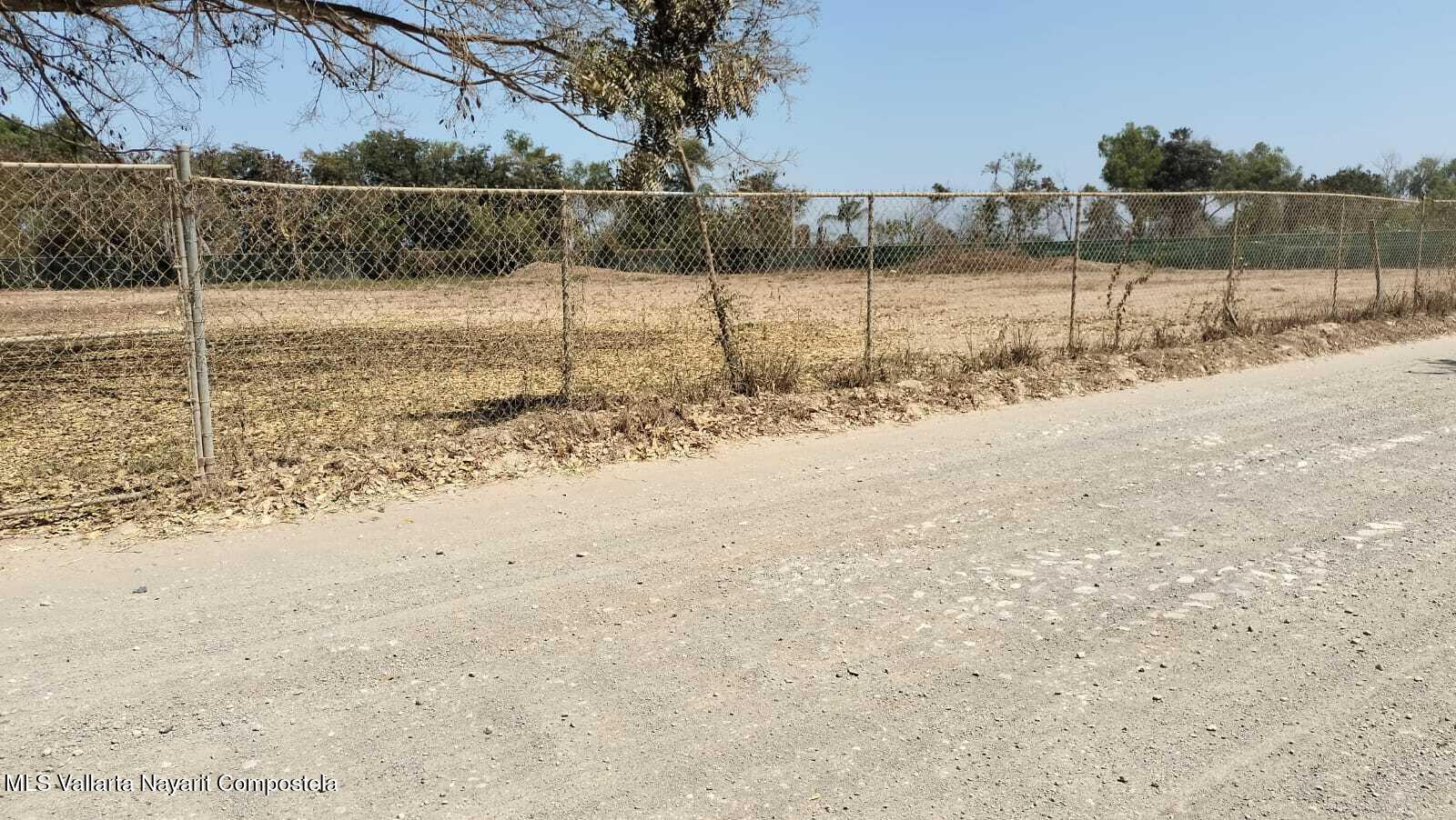 20250412174654977546000000-o