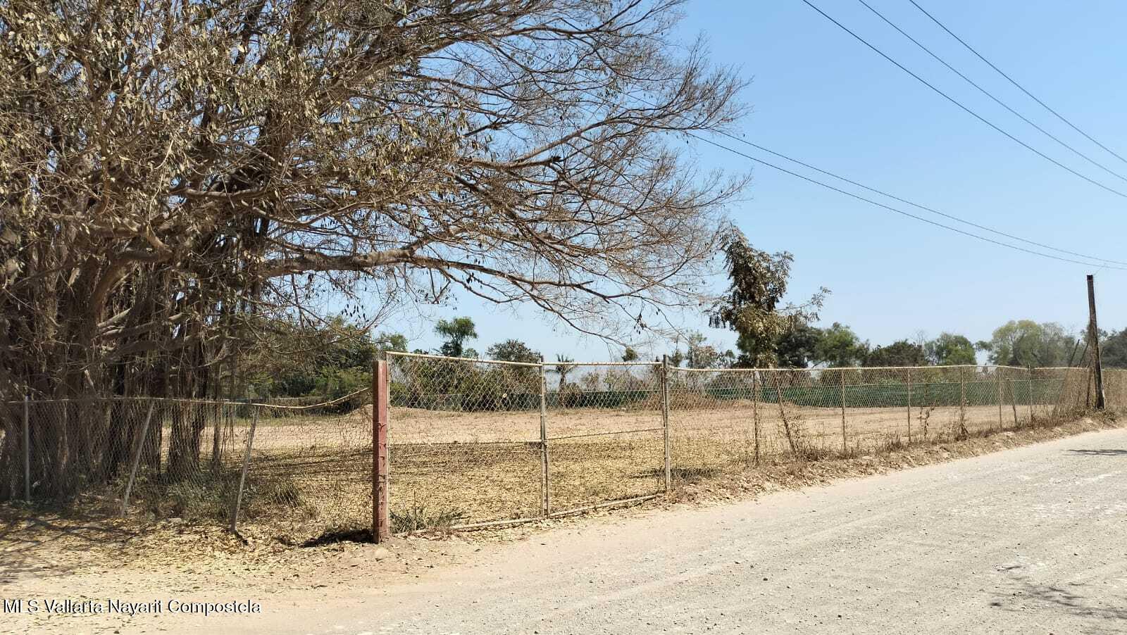 20250412174655859357000000-o