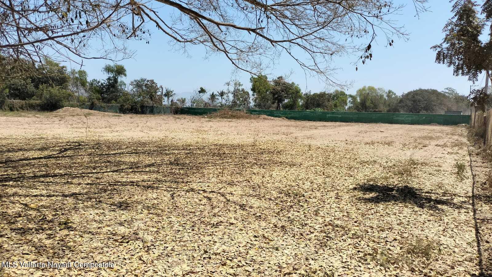 20250412174656665738000000-o