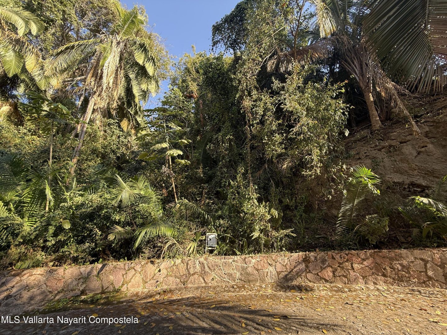 20250423001623345980000000-o