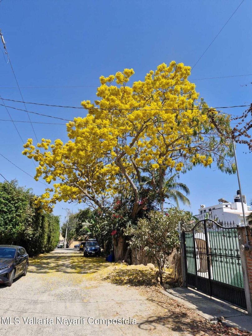 20250514171454438165000000-o